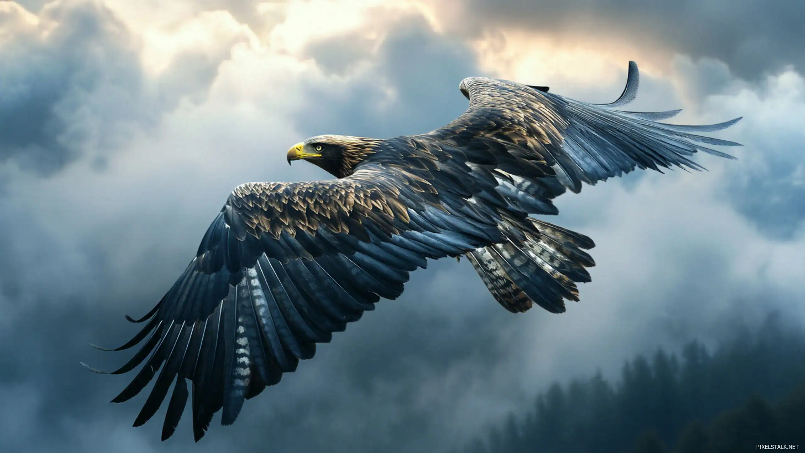 Godínez y Asociados